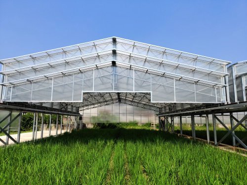 新质生产力的内涵特征和发展重点